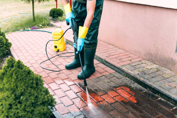 Best Roof Pressure Washing  in Cave City, AR